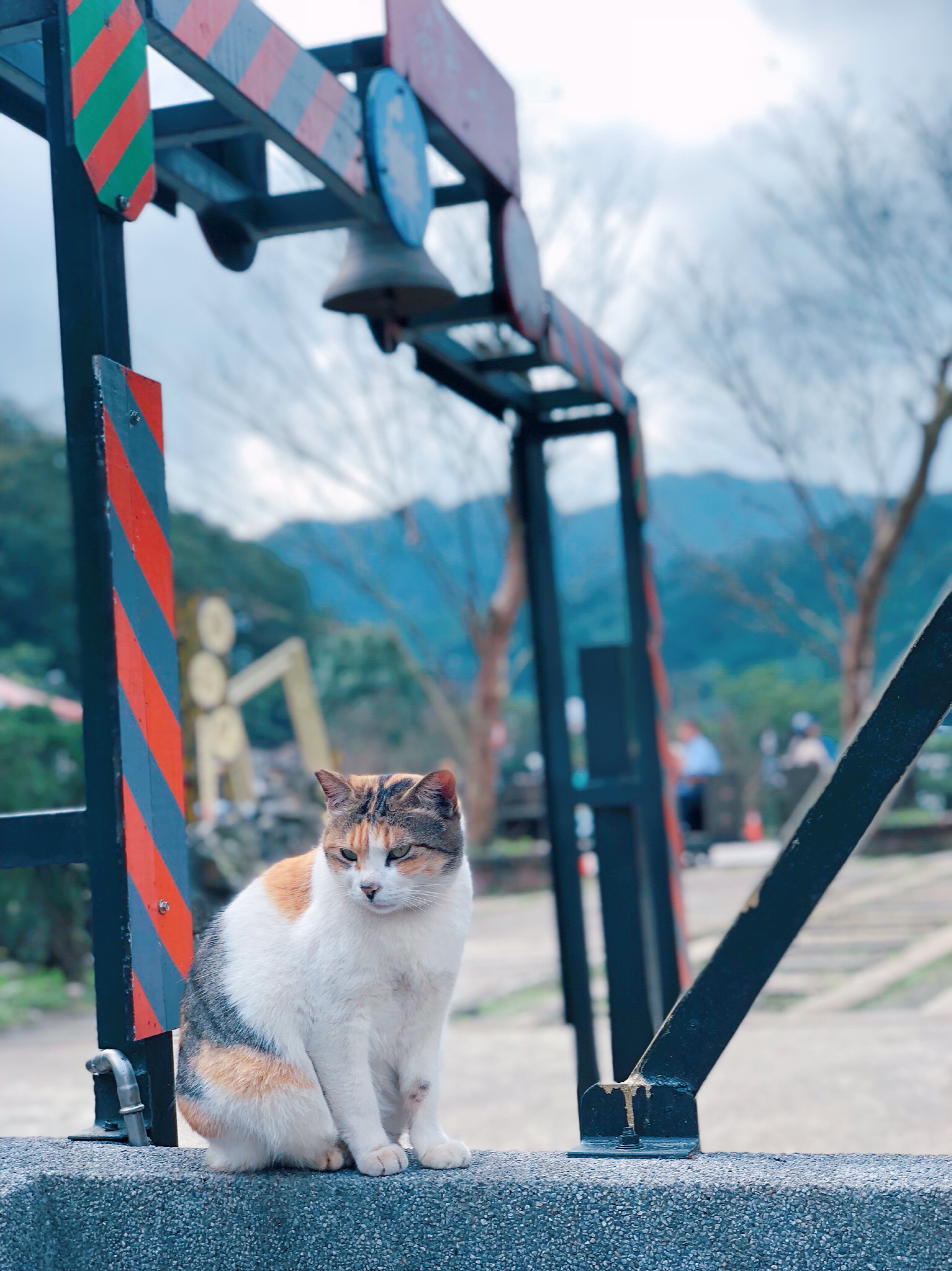 928FD38A-87EF-46D9-950F-0AE462D88E9F