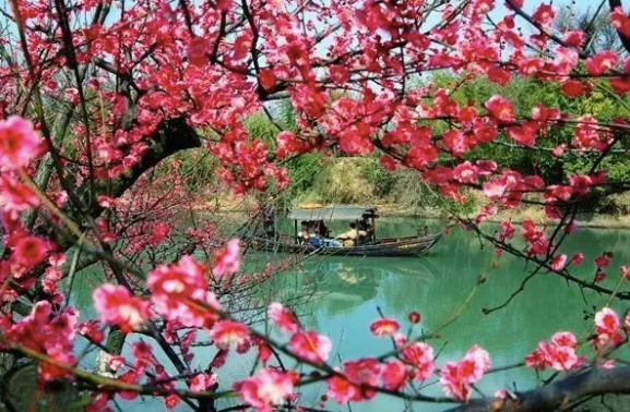 Screen Shot 2561-02-21 at 14.08.55