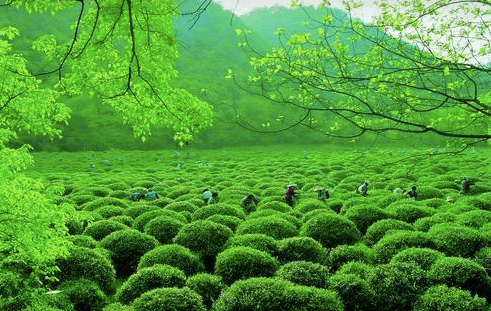 Screen Shot 2561-02-26 at 12.35.16