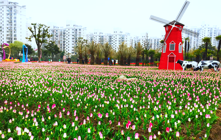 Screen Shot 2561-03-07 at 10.18.25.png