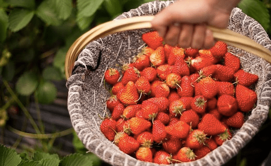 Screen Shot 2561-03-07 at 15.35.36.png