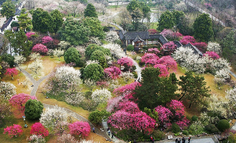 Screen Shot 2561-03-07 at 15.54.58.png